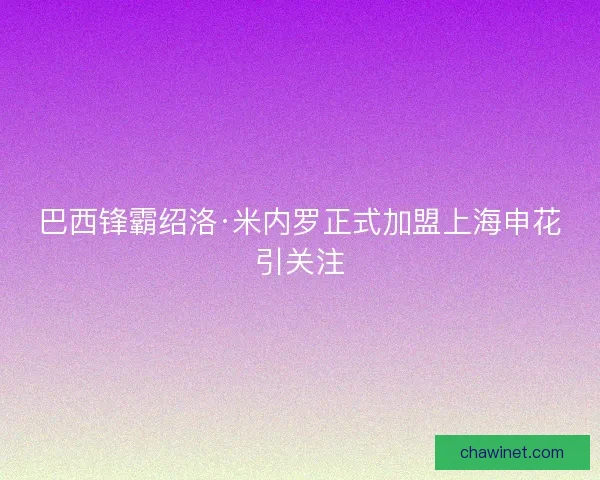 巴西锋霸绍洛·米内罗正式加盟上海申花引关注