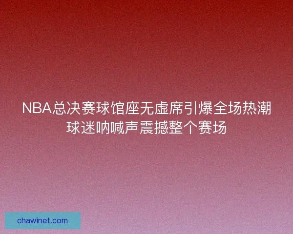NBA总决赛球馆座无虚席引爆全场热潮球迷呐喊声震撼整个赛场